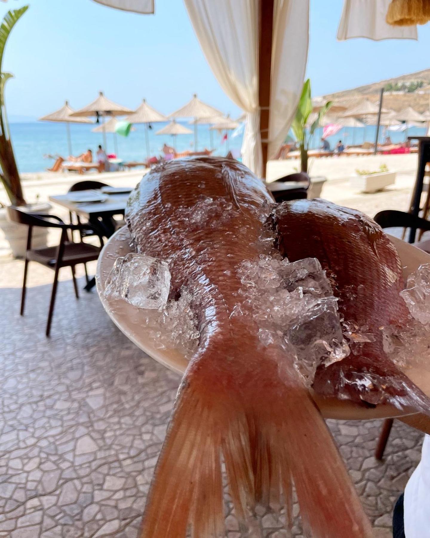 Valta Hotel Κηπαρό Εξωτερικό φωτογραφία